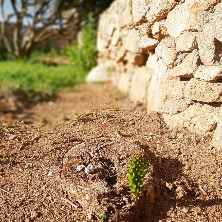 Villa Sprafundu La Maddalena  Luaran gambar