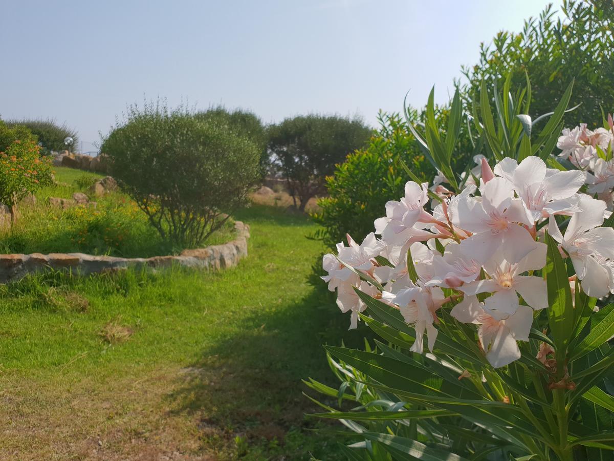 Villa Sprafundu La Maddalena  Luaran gambar